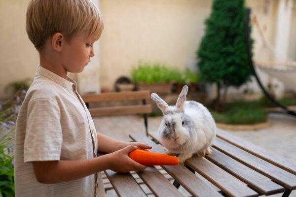 Baby Rabbit